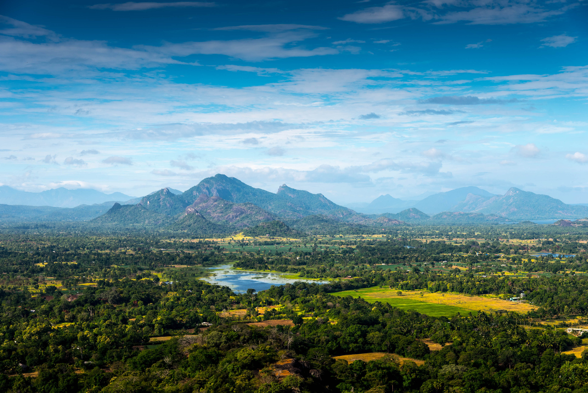 Sri Lankan landscape